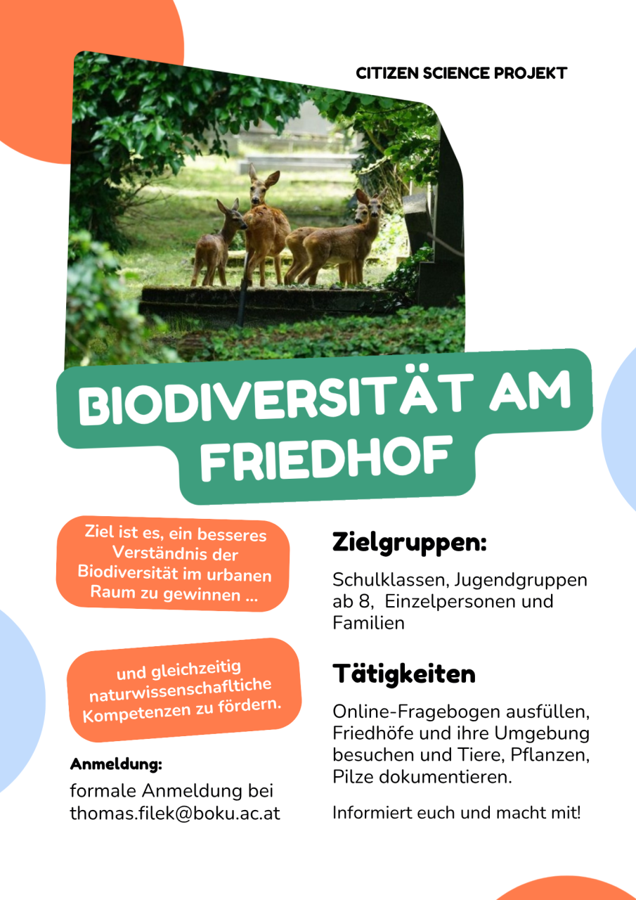 Biodiversität am Friedhof