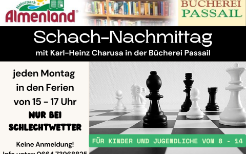 Schach-Nachmittag